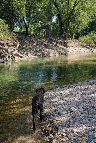 Unassigned County Rd #301 Oglesby, TX 76561