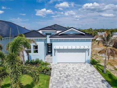 6542 Simone Shores Cir Apollo Beach, FL 33572