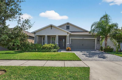 6115 Sea Air Dr Apollo Beach, FL 33572