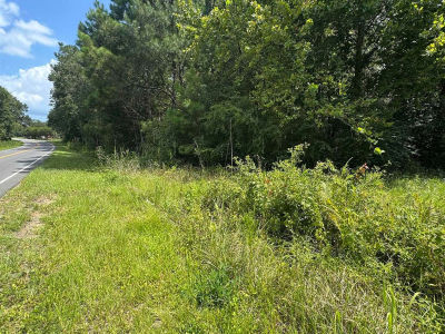 Tbd Society Dr Conway, SC 29527