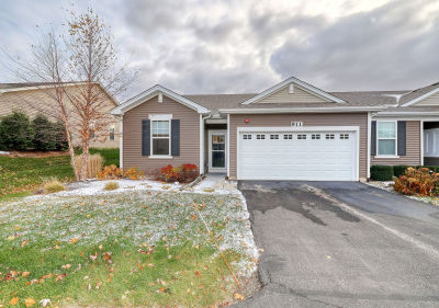 911 Darwin St North Aurora, IL 60542