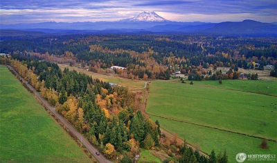 19441 Cougar Mountain Airport Rd SE Yelm, WA 98597