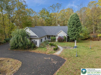 1187 Manzanedo Rd East Stroudsburg, PA 18302