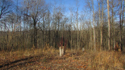 909 Hales Chapel Road, Jonesborough, TN, USA