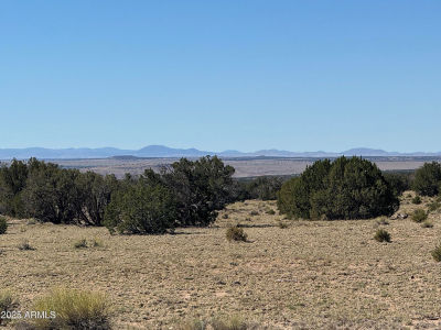 0 Woodlands Rnch LOT 704 Saint Johns, AZ 85936
