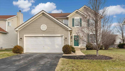 226 Woodland Park Cir Gilberts, IL 60136