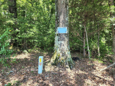 8626 Lamar Rd Olive Branch, MS 38654