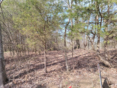 Union Ridge Road, Frankfort, KY, USA