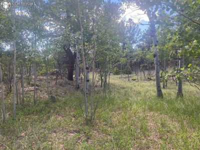 94 & 146 County Road 403 Florissant, CO 80816