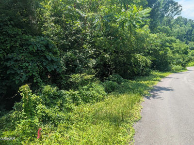 0 Beech Branch Rd Gatlinburg, TN 37738