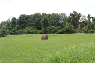 Tennessee St, Bolivar, TN, USA