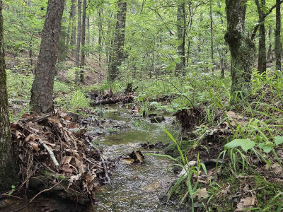 301 Chaparral Ln Mena, AR 71953