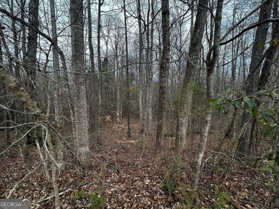 133 Four Oaks Dr Griffin, GA 30224