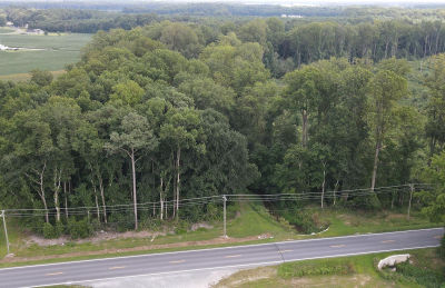 18.271 Ac Tract #5 Georgetown, DE 19947