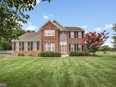 30994 Pine Tree Ct Millsboro, DE 19966