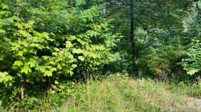 6270 Highway 192 Somerset, KY 42501