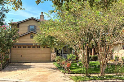 16311 Chandler Ridge Lane, Cypress, TX, USA