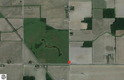 S Blair Rd N Ithaca, MI 48847