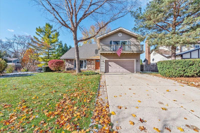 900 Sarasota Ln Crystal Lake, IL 60014