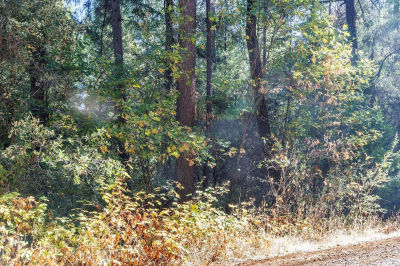 4293 Glory Hole Dr Camino, CA 95709