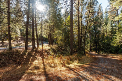 4261 Glory Hole Dr Camino, CA 95709