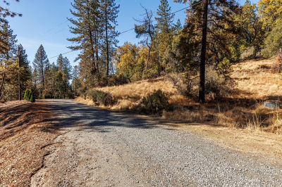 3551 Red Dog Dr Camino, CA 95709