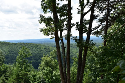 Heyden Ridge Drive, Clarkesville, GA, USA