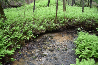 0 Glenridge Dr. Lot 57