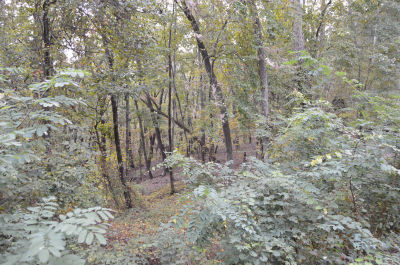 42 Autumn Sweet Dr, Clarkesville, GA, USA