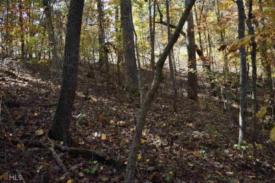 Habersham Landing Drive, Lot 25