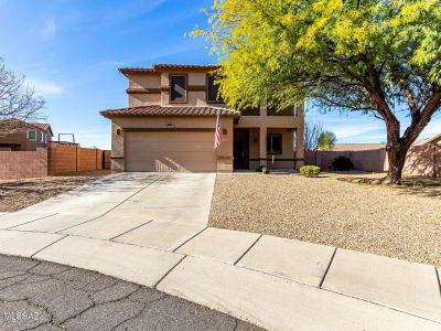 1001 E Ashburn Mountain Dr Sahuarita, AZ 85629