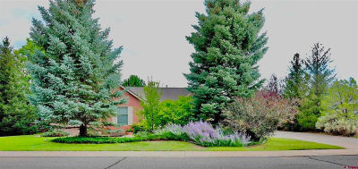 3924 Mount Hayden Dr Montrose, CO 81403