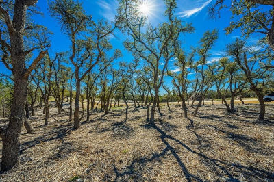 857 NW Brooklyn Dr Mountain Home, TX 78058