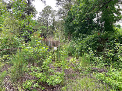 4277 Hickory Rd Sumter, SC 29154