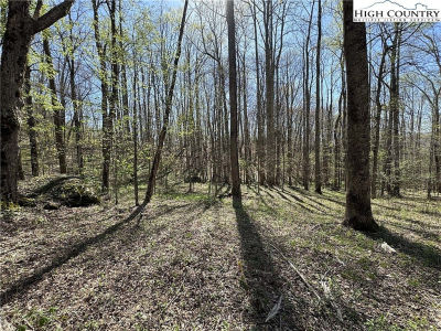 Katie Ln Bakersville, NC 28705