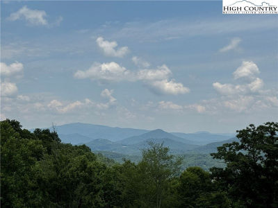 1 The Cove At Celo Mountain Burnsville, NC 28714