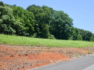 LOT 55 The Gates Dr Decatur, TN 37322