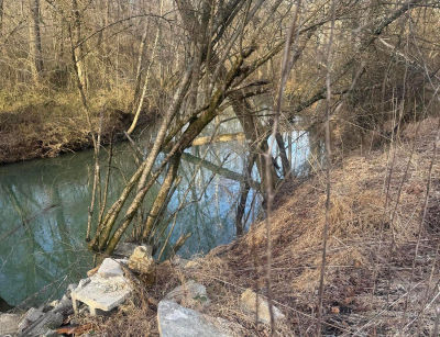 12 Burnt Mill Cir Flintstone, GA 30725