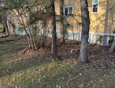 3759 Dick George Rd Cave Junction, OR 97523