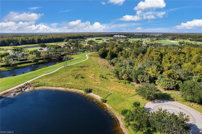 11562 Aerie Ln Naples, FL 34120