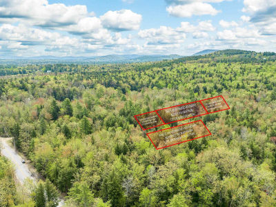 Lots42 43 44 49 G St Conway, NH 03818