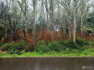 821 Duck Lake Dr NE Ocean Shores, WA 98569