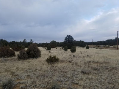 12 N Ranchero Rd #13 Pie Town, NM 87827
