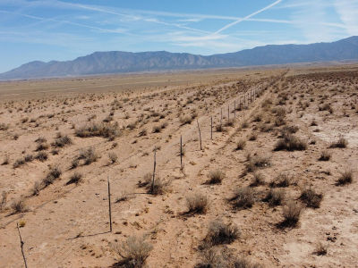 3 18th Los Lunas, NM 87031