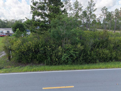 LOT 5 Borders Rd Wewahitchka, FL 32465