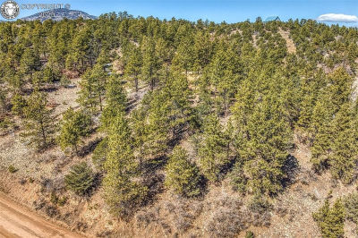 1435 Buttonwood Rd Canon City, CO 81212