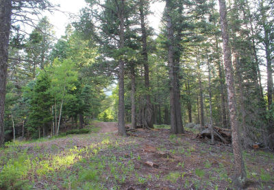 178 Simmons Rd Westcliffe, CO 81069