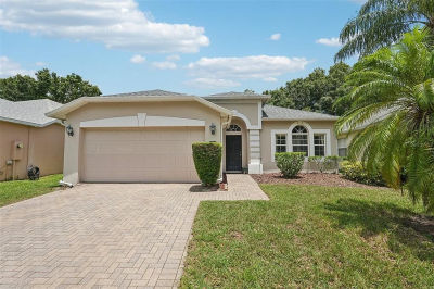 10146 Shadow Creek Dr Orlando, FL 32832