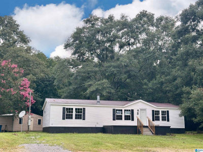 4737 Desoto Caverns Pkwy Childersburg, AL 35044