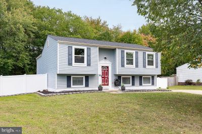 919 Truro Ln Waldorf, MD 20601